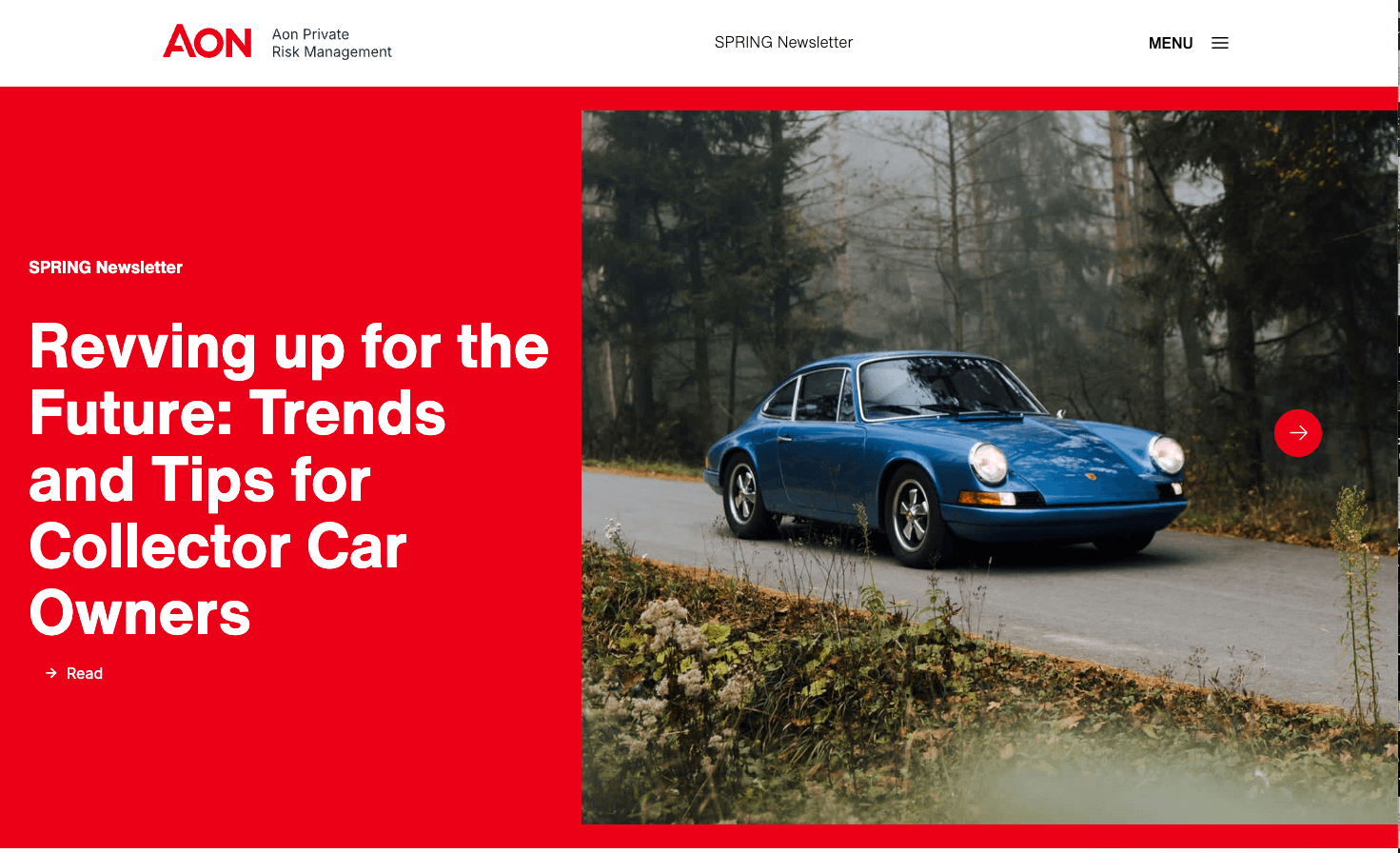 AON Newsletter publication preview
