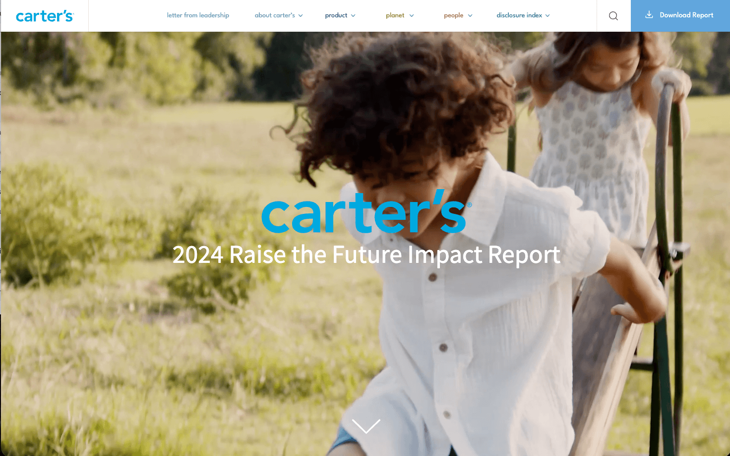 Carter's Impact Report publication preview