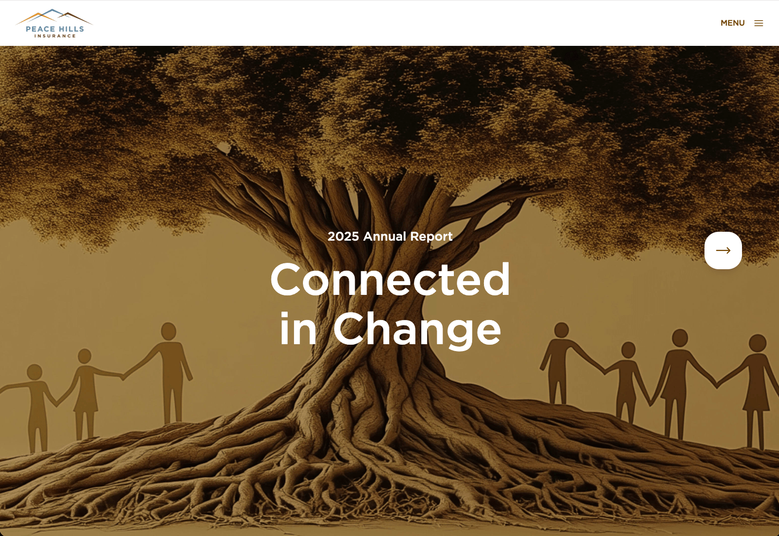Annual Report publication preview